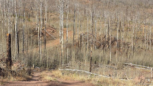 Lot 880 Slaoui Place, Fort Garland, CO 81133