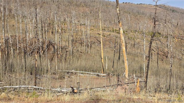 Lot 880 Slaoui Place, Fort Garland, CO 81133