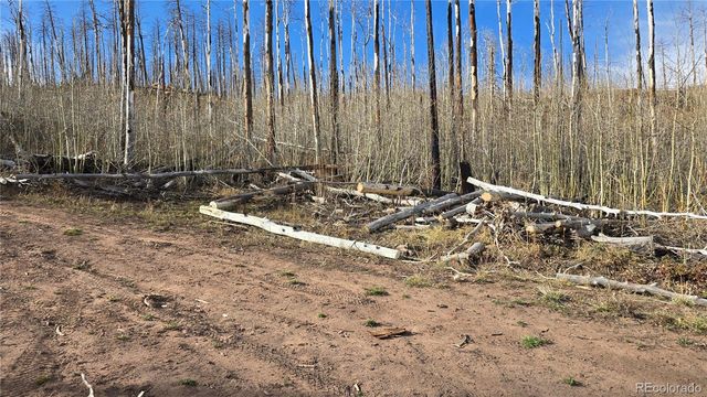 Lot 880 Slaoui Place, Fort Garland, CO 81133