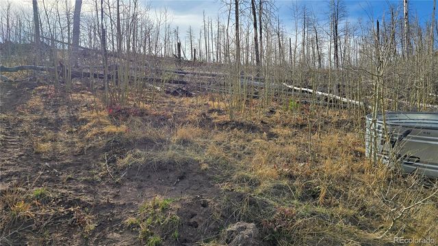Lot 880 Slaoui Place, Fort Garland, CO 81133