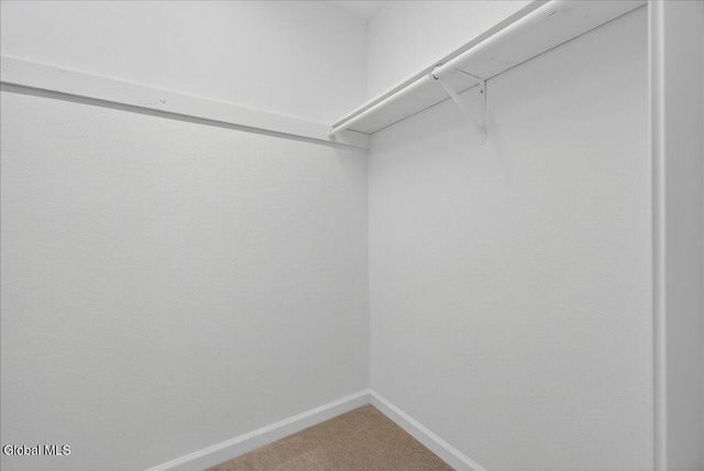 4043 Chaucer Place, Guilderland, NY 12159