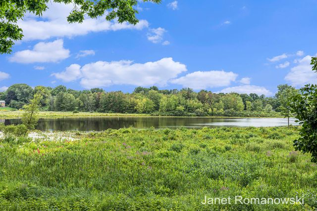 51 Peartree Lane Ne, Grand Rapids Twp, MI 49546