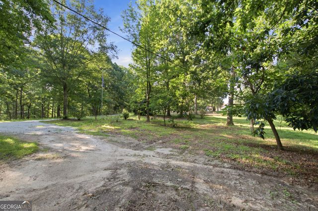222 Chigger Ridge Road, Carnesville, GA 30521