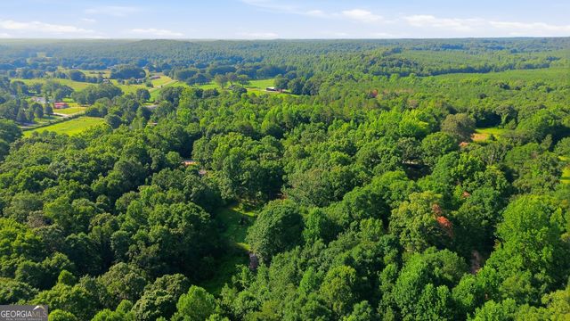 222 Chigger Ridge Road, Carnesville, GA 30521
