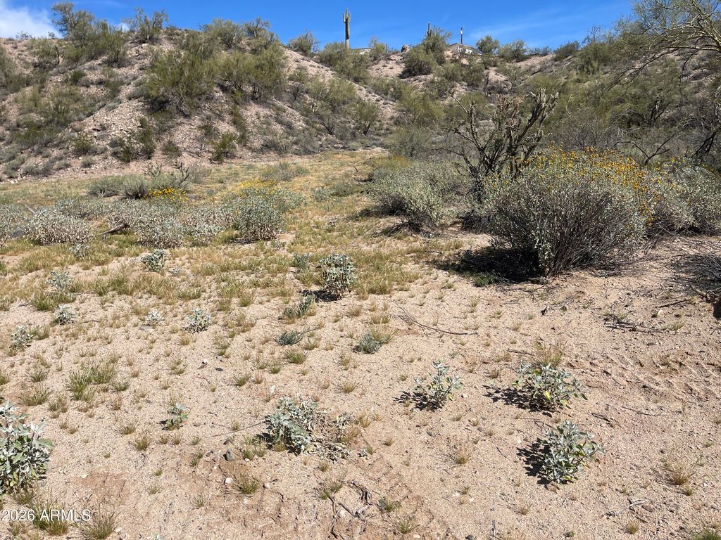 41XX3 N 276th Avenue Lot 3, Morristown, AZ 85342 — photo 4
