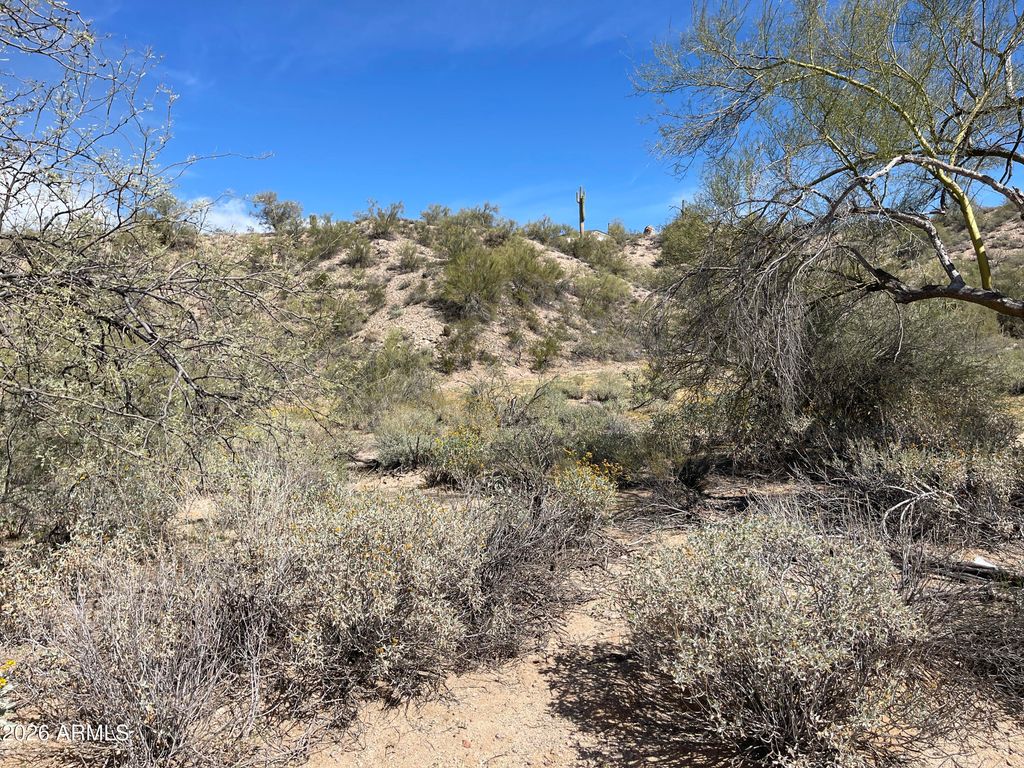 41XX3 N 276th Avenue Lot 3, Morristown, AZ 85342 — photo 5