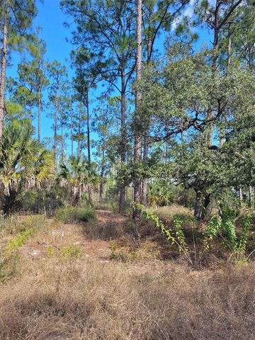 7620 19th PL Wheeler, La Belle, FL 33935
