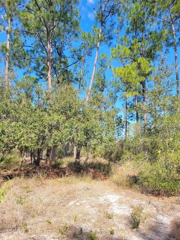 7620 19th PL Wheeler, La Belle, FL 33935