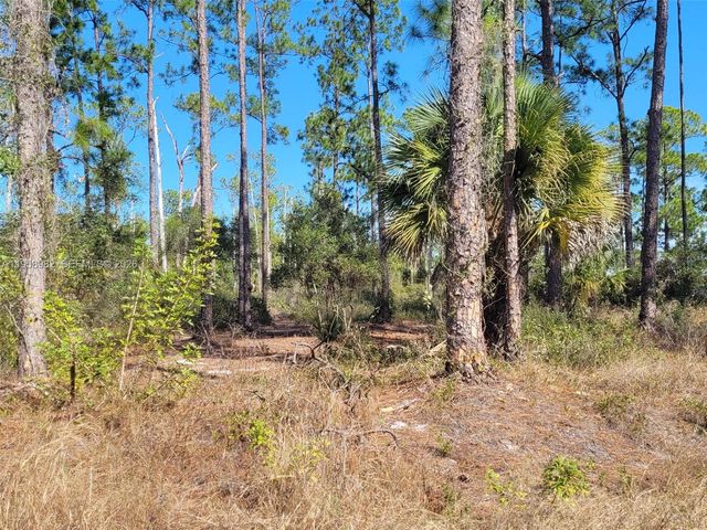 7620 19th PL Wheeler, La Belle, FL 33935