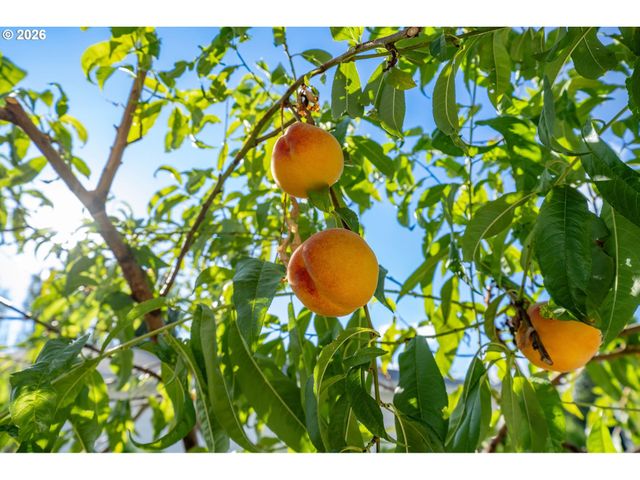 3351 Nw GRASS VALLEY Dr, Camas, WA 98607