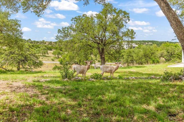 230 Dry Bear CRK, New Braunfels, TX 78132