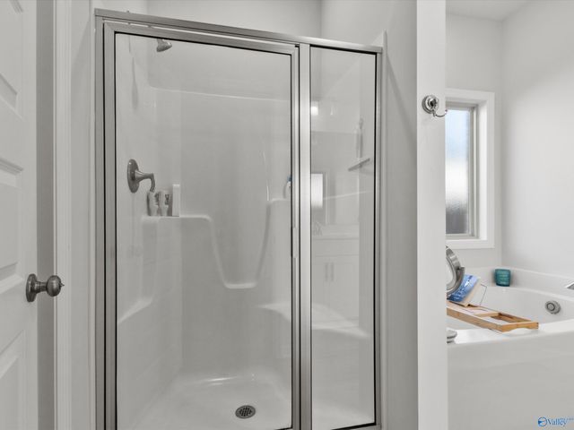 209 Allegro Circle, Harvest, AL 35749