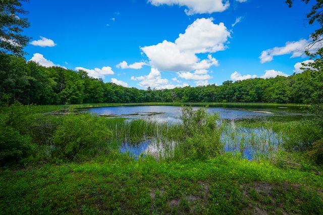 9339 Maple Hill Road, Howard City, MI 49329