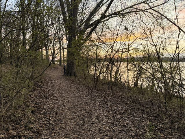 136 Roberta Dr, Hendersonville, TN 37075