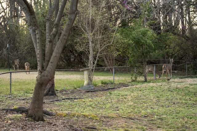 136 Roberta Dr, Hendersonville, TN 37075