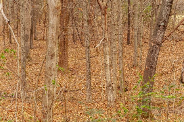 512 N Happy Hollow Road, Portland, TN 37148