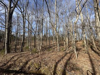 512 N Happy Hollow Road, Portland, TN 37148