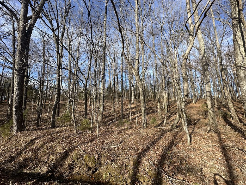 512 N Happy Hollow Road, Portland, TN 37148