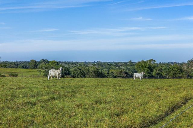 2134 Carter Road, Bellville, TX 77418