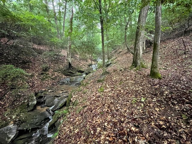 64 Kristen Lane, Ellijay, GA 30540