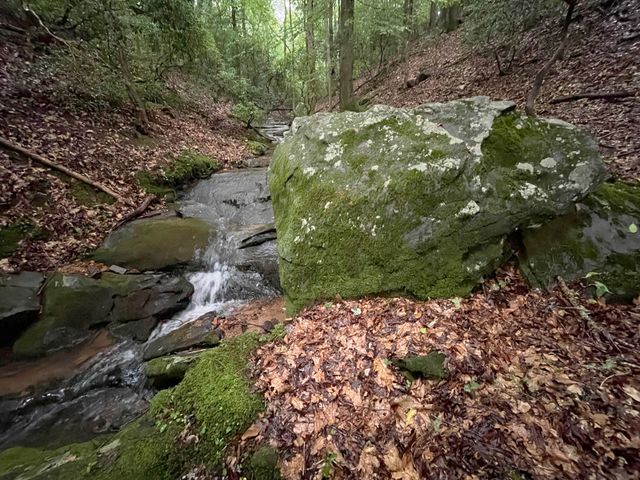 64 Kristen Lane, Ellijay, GA 30540