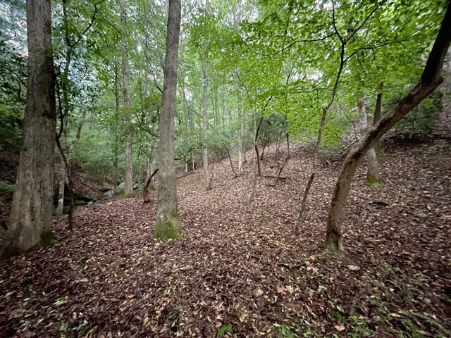 64 Kristen Lane, Ellijay, GA 30540