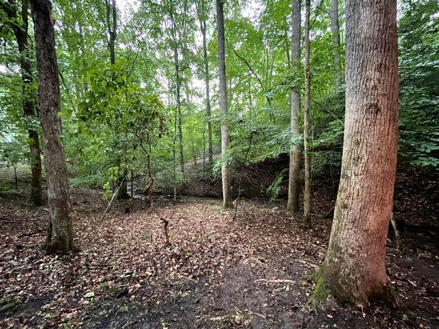64 Kristen Lane, Ellijay, GA 30540