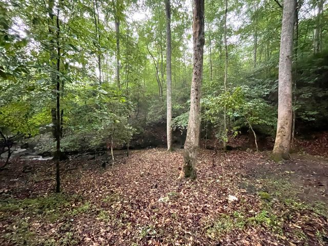 64 Kristen Lane, Ellijay, GA 30540