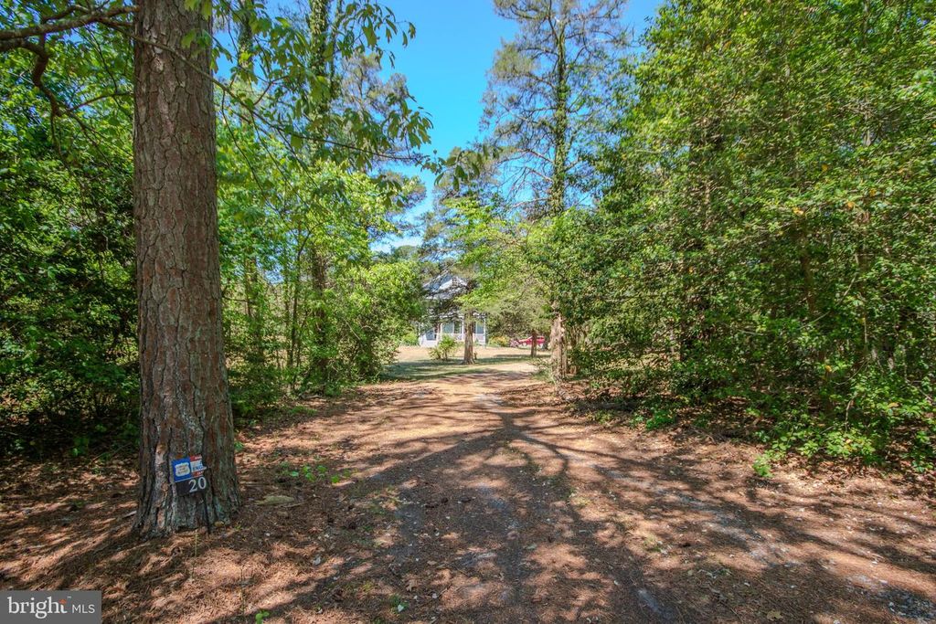 Image 46 of property listing at 201 MEADOW LN, Pocomoke City, MD 21851