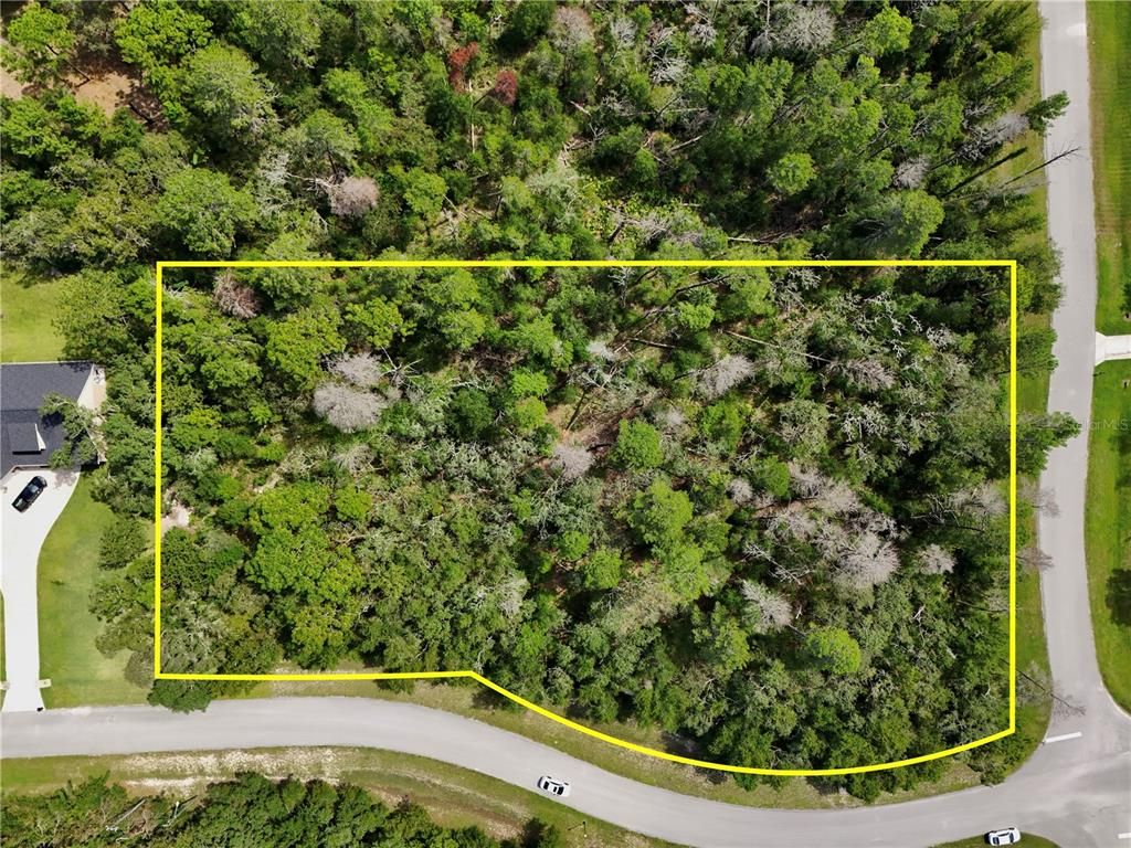 13753 SAND OAK COURT, Hudson, FL 34669