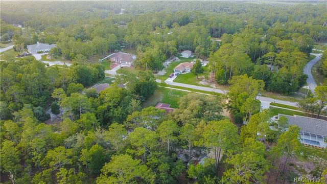 2925 W Birds Nest Drive, Beverly Hills, FL 34465