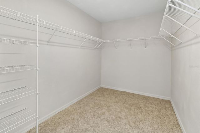 1192 MULTIFLORA LOOP, Lutz, FL 33558