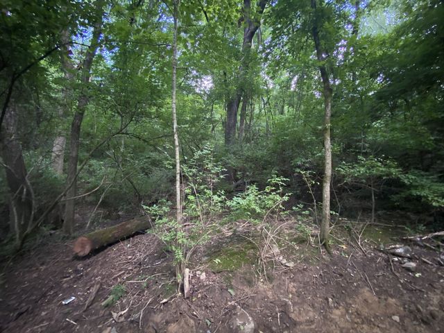 5110 W Concord Rd, Brentwood, TN 37027