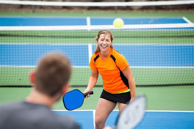 32583 TREE OF LIFE AVENUE, Wesley Chapel, FL 33543