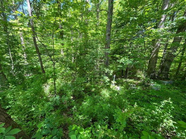 56 Tim Morgan Road, Whitley City, KY 42653