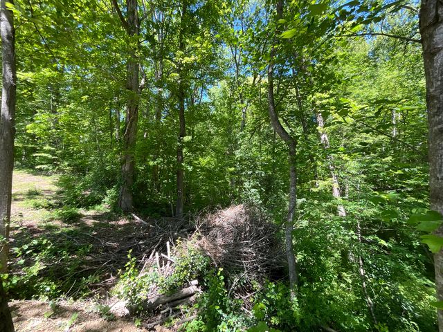 56 Tim Morgan Road, Whitley City, KY 42653