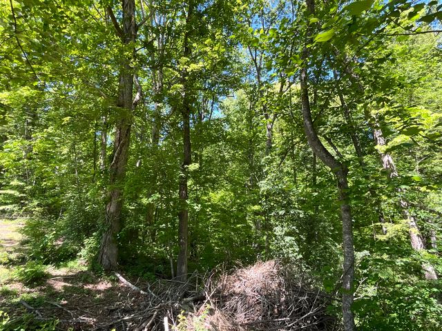 56 Tim Morgan Road, Whitley City, KY 42653