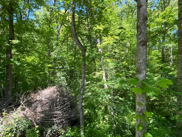 56 Tim Morgan Road, Whitley City, KY 42653