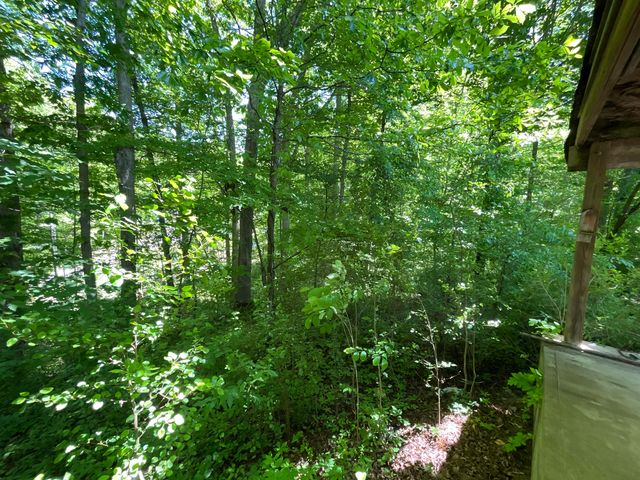 56 Tim Morgan Road, Whitley City, KY 42653