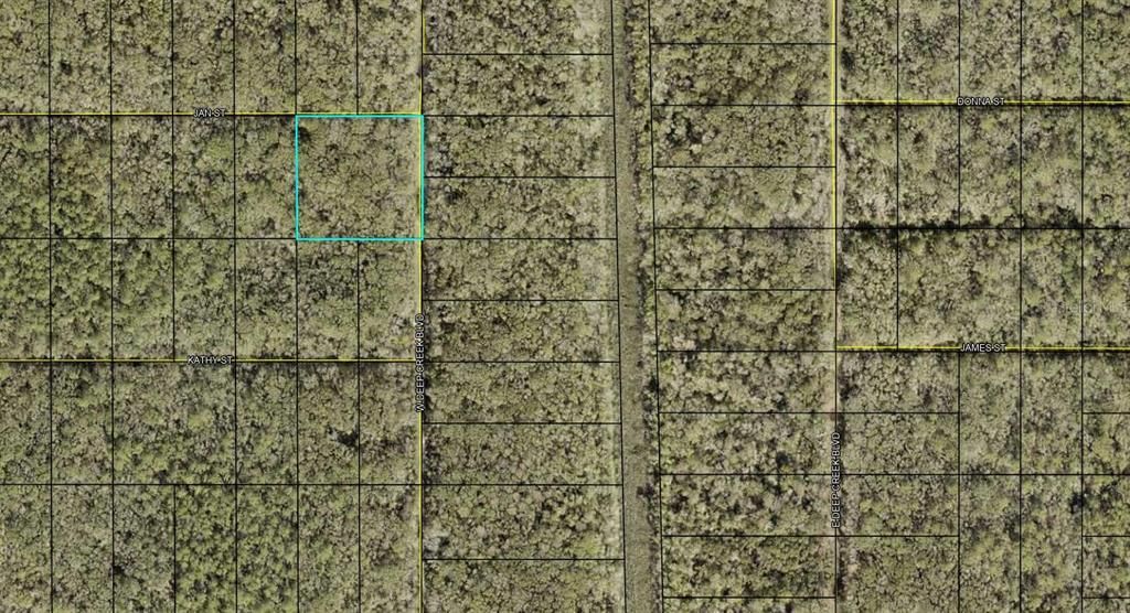 XXX W. DEEP CREEK BLVD BOULEVARD, Hastings, FL 32145