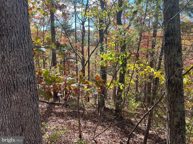 0 BRENDA LN, Basye, VA 22810