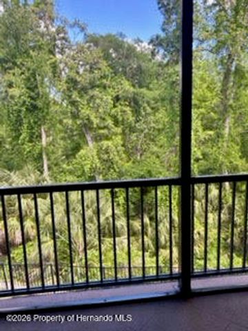 7032 River Run Boulevard, Weeki Wachee, FL 34607