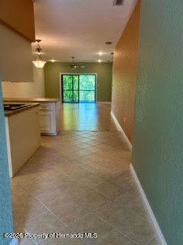7032 River Run Boulevard, Weeki Wachee, FL 34607