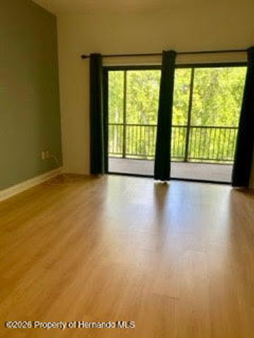 7032 River Run Boulevard, Weeki Wachee, FL 34607