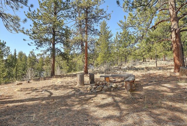 18610 Morrison Creek Circle, Buena Vista, CO 81211