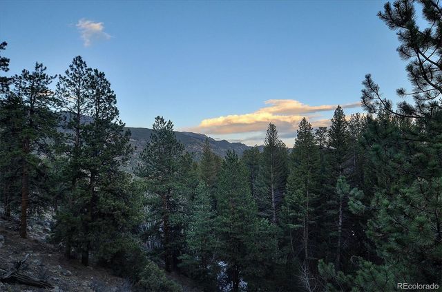 18610 Morrison Creek Circle, Buena Vista, CO 81211