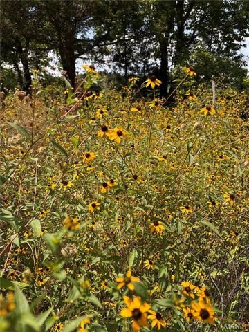 30 County Rd. 6240, Salem, MO 65560