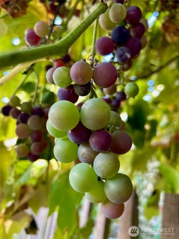 1116 E Marine View Drive, Everett, WA 98201