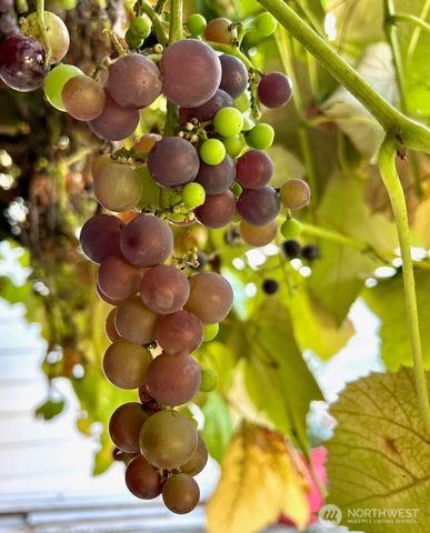 1116 E Marine View Drive, Everett, WA 98201