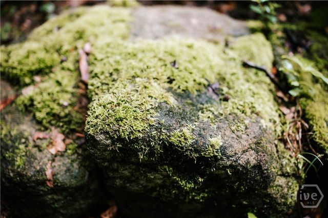 307 East Main St, Lexington, GA 30648